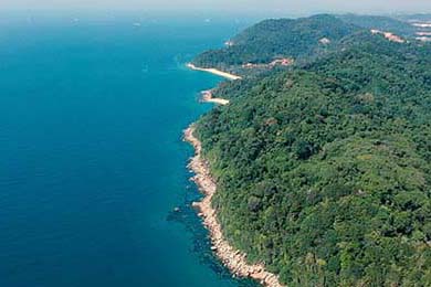 大阪樱花准备全面开花，迎接对手挑战，大阪樱花效力